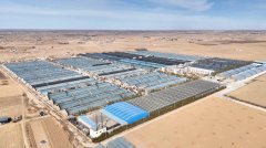 优选良种+智能育苗+精准灌溉”的全链条模式